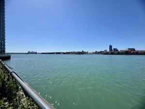 Photo 15- click for photo gallery